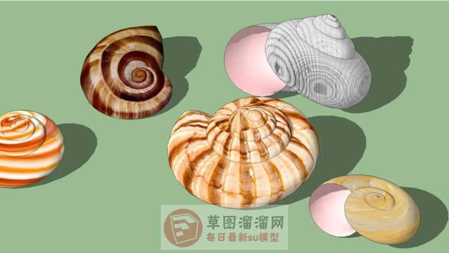 装饰品小螺号蜗牛壳SU模型