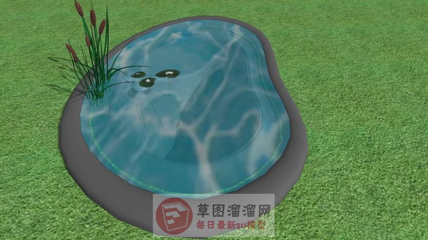 荷花水塘水池SU模型