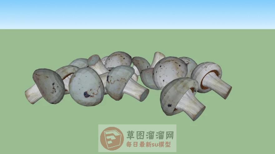 蘑菇SU模型