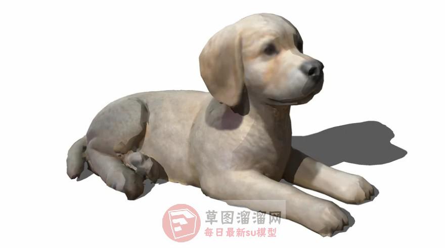 狗动物SU模型