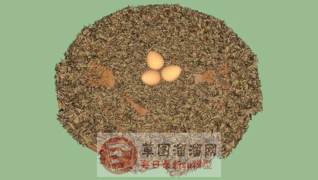 燕窝鸟窝SU模型