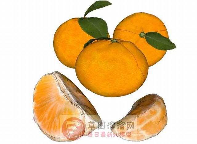 橙子水果橘子SU模型