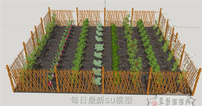 菜地菜园蔬菜SU模型