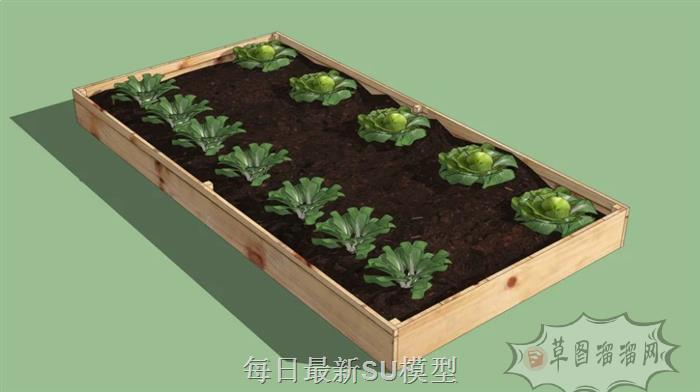 菜地蔬菜SU模型