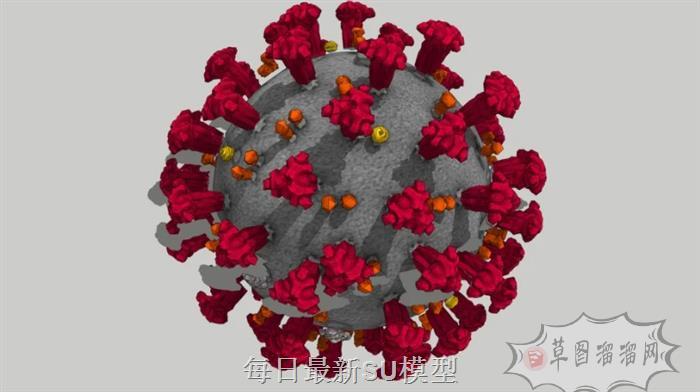 新冠病毒毒株SU模型