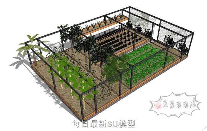 菜地菜园子菜园SU模型