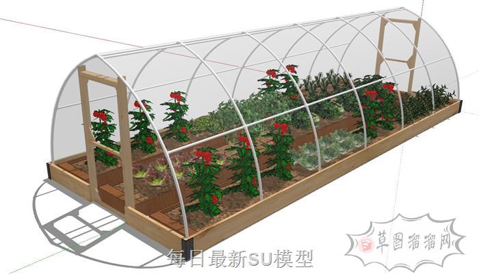 菜园蔬菜大棚SU模型