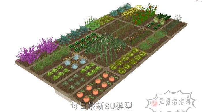 菜园菜园子菜地SU模型