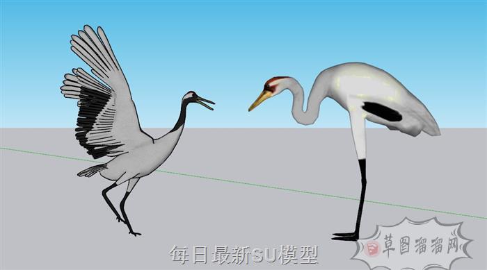 丹顶鹤仙鹤动物SU模型