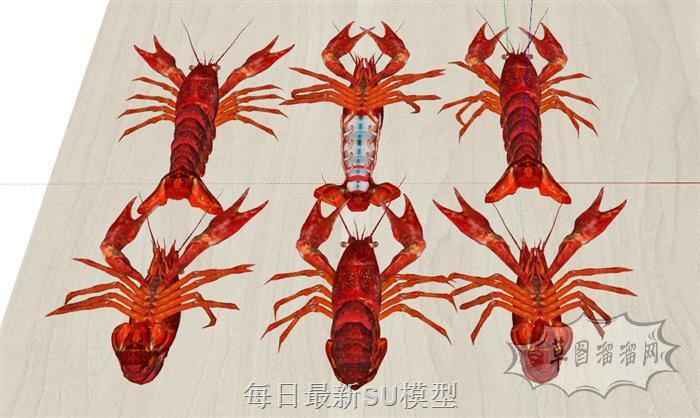 小龙虾虾子SU模型