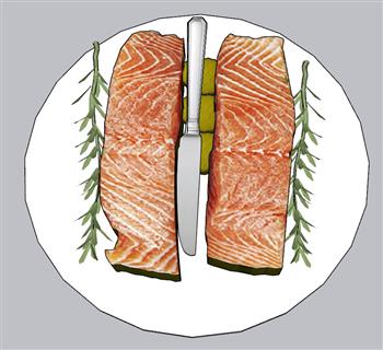 西餐三文鱼美食SU模型