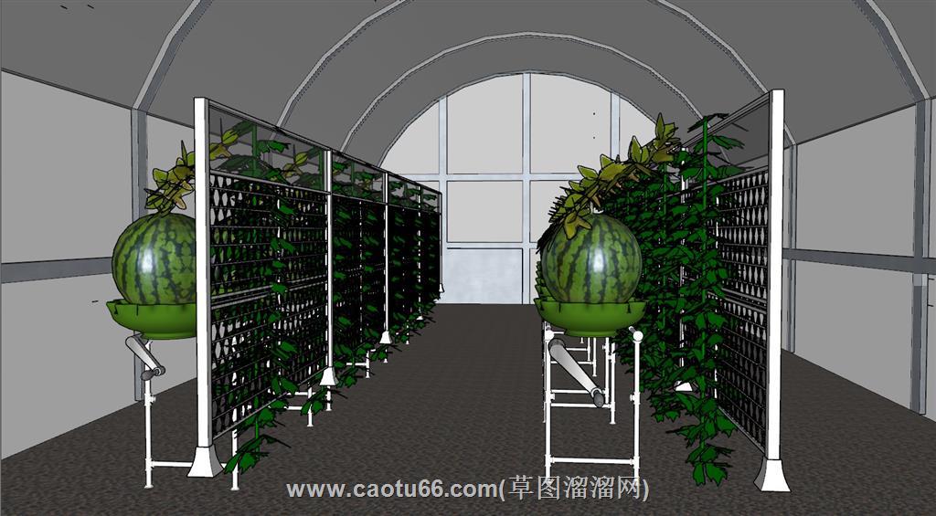 西瓜蔬菜温室大棚SU模型