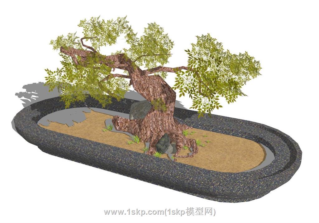 盆栽SU模型