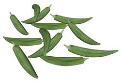 秋葵蔬菜SU模型