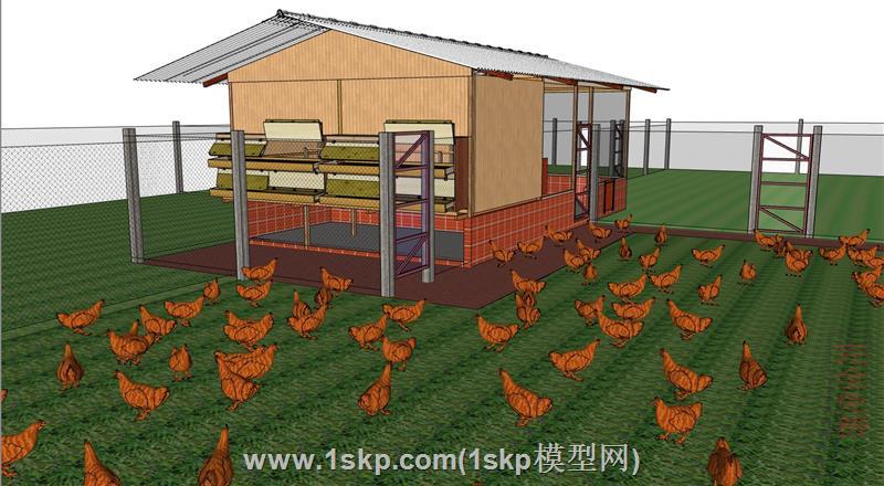 养鸡场鸡场养殖场农场