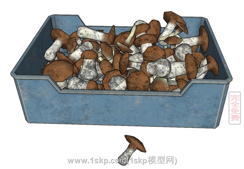 食用菌蘑菇