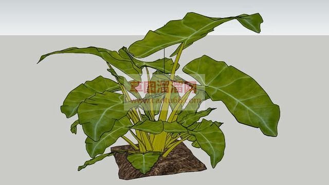 仿真绿植盆景SU模型