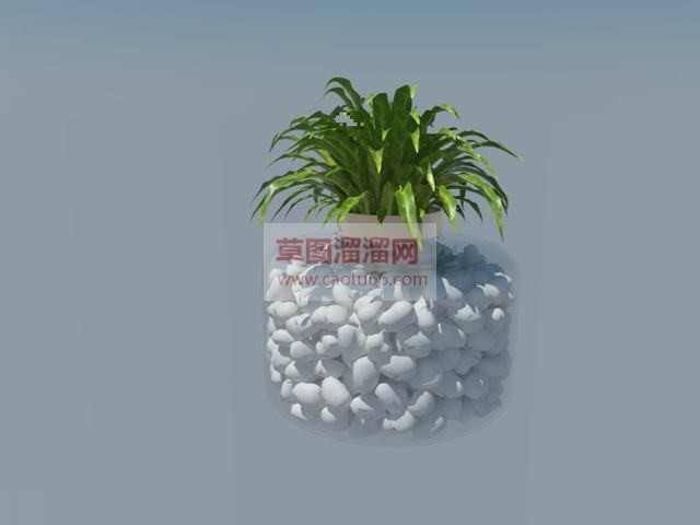 小石子花瓶植物SU模型