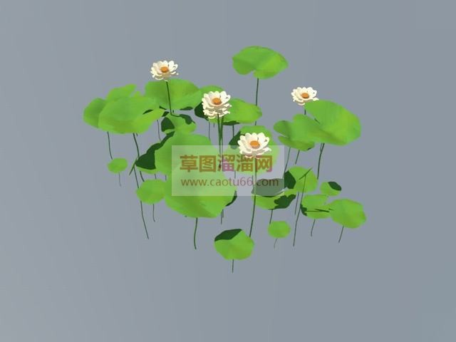 荷叶白莲花荷花SU模型