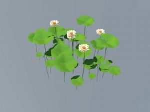 荷叶白莲花荷花SU模型