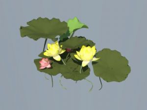 荷花叶莲花荷花SU模型