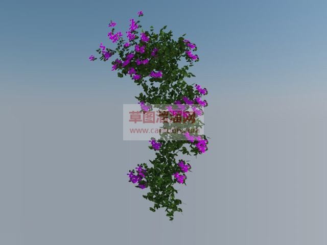 爬墙植物蔓藤植物SU模型