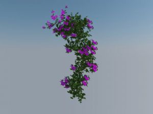 爬墙植物蔓藤植物SU模型