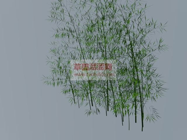 竹子竹林SU模型
