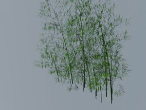 竹子竹林SU模型