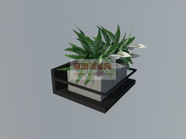陈设摆件植物SU模型