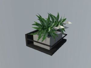 陈设摆件植物SU模型