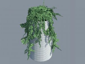 装饰植物盆栽SU模型