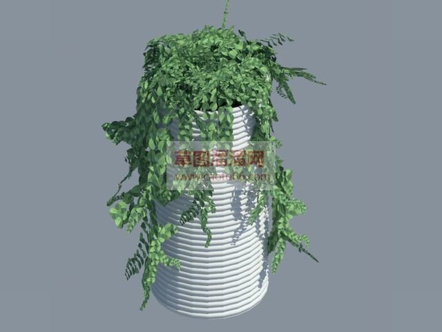 装饰植物盆栽SU模型