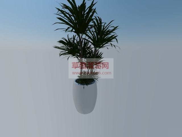 花盆植物摆件SU模型
