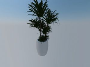 花盆植物摆件SU模型