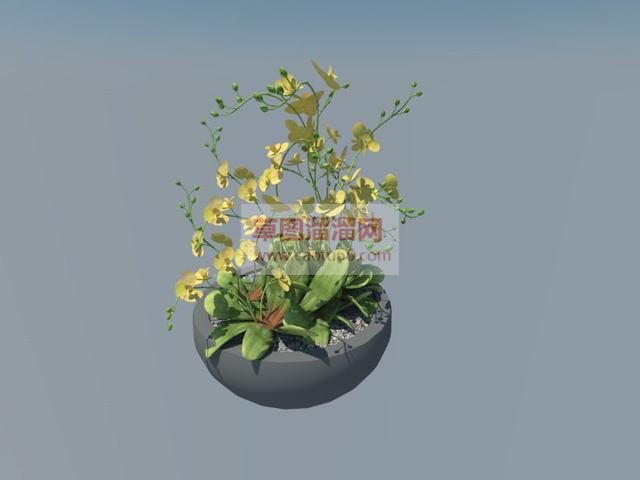 花盆盆栽植物SU模型