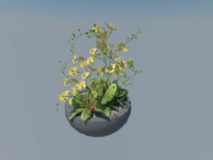 花盆盆栽植物SU模型