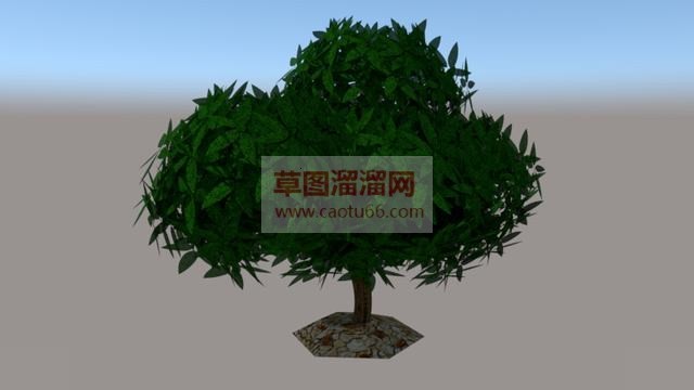 树木SU模型