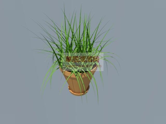 花盆盆栽植物SU模型