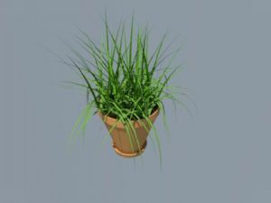 花盆盆栽植物SU模型