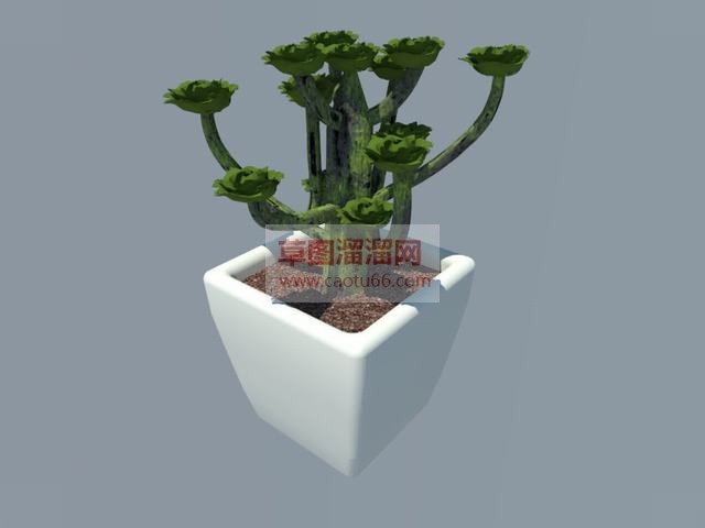 花瓶盆栽植物SU模型