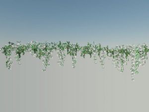 蔓藤植物花SU模型