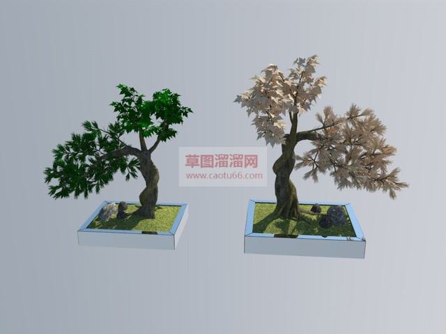 迎客松盆景树SU模型