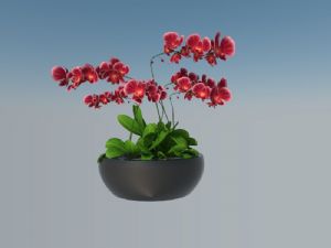 花盆植物盆栽SU模型
