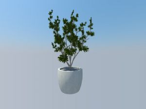 盆景植物盆栽SU模型