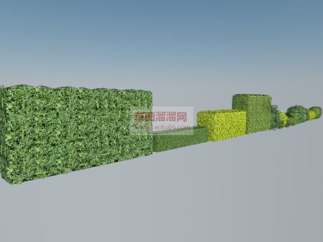 冬青绿化植物SU模型