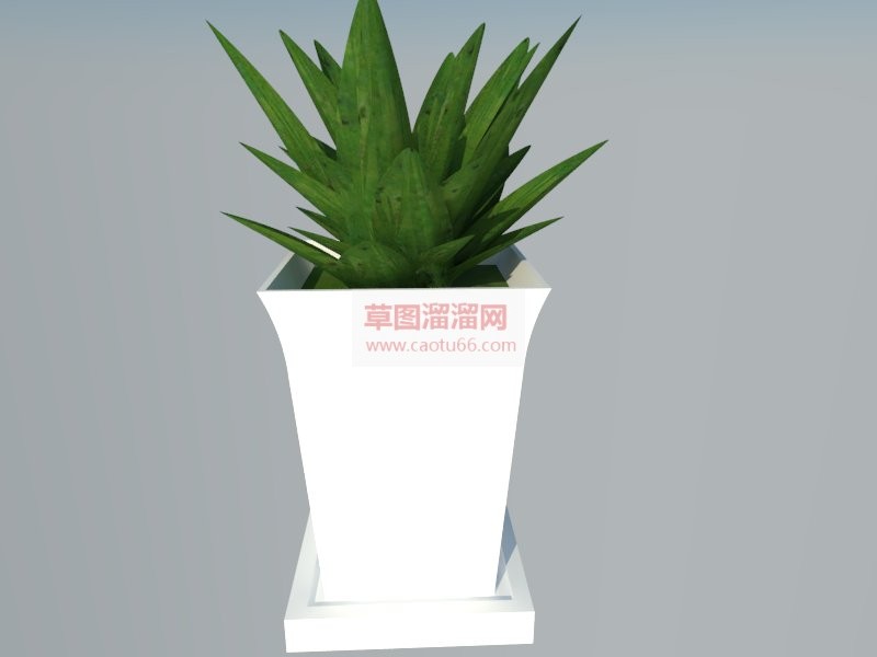 多肉植物SU模型