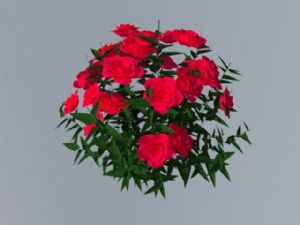 玫瑰花植物花SU模型