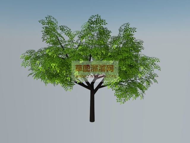绿叶树木SU模型