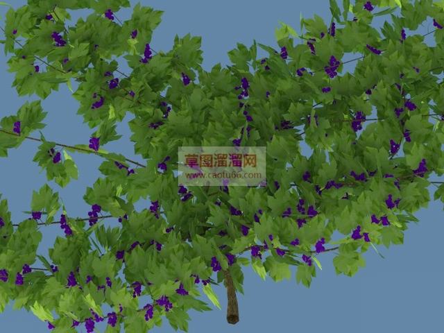 葡萄树葡萄叶爬藤SU模型